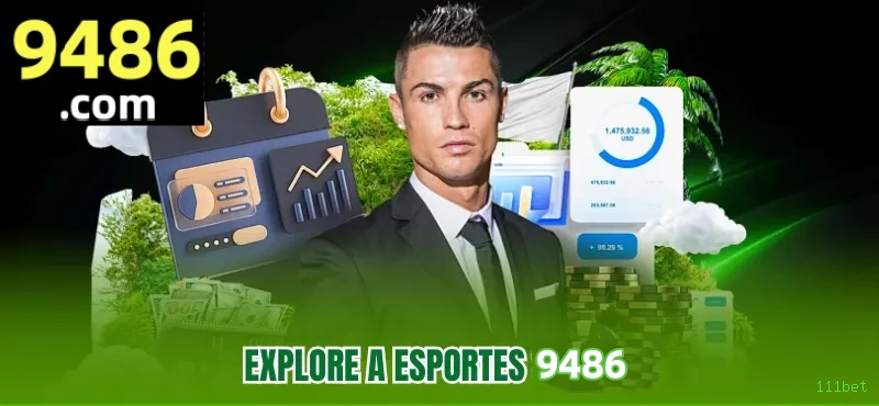 111bet Provedores Premium